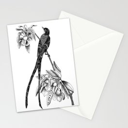 Long Tail Bird Card